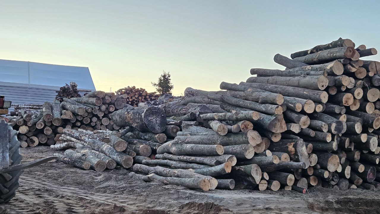 Wysokiej jakości drewno kominkowe