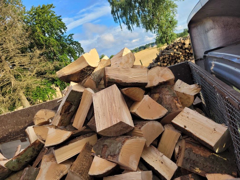 Profesjonalne usługi wycinkowe